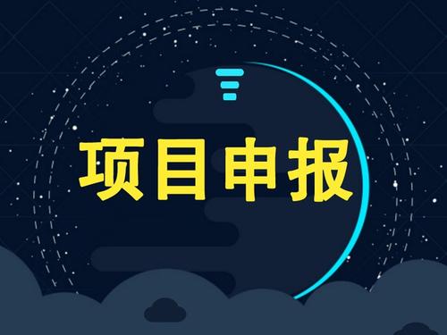 企業(yè)可以獨自申請項目補貼嗎？成功率怎么樣？