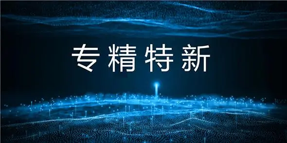 國家級專精特新小巨人怎么申報、條件流程